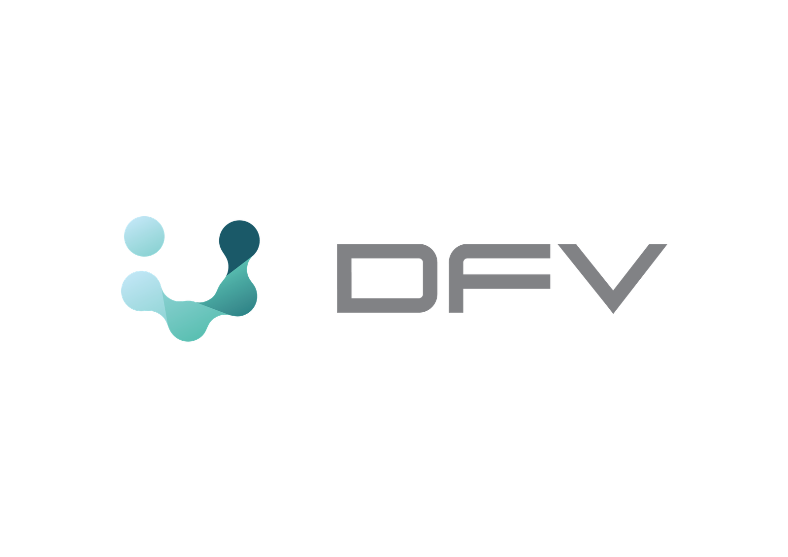 dfv logo